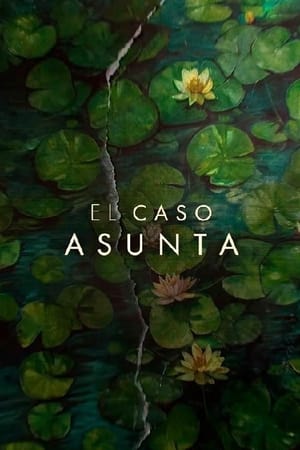 El caso Asunta Temporada 1 online gratis