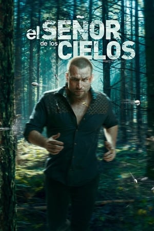 El señor de los cielos T 6 C 96 online gratis