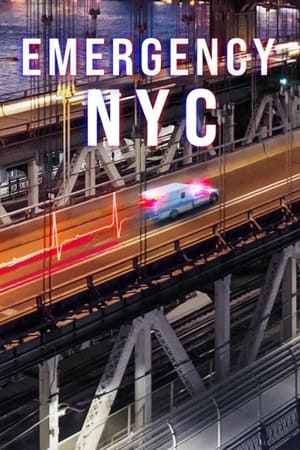 Emergencias: Nueva York T 1 C 7 online gratis