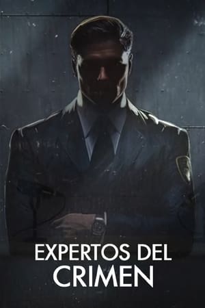 eXpertos del crimen T 1 C 21 online gratis