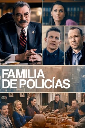 Familia de policías T 13 C 3 online gratis