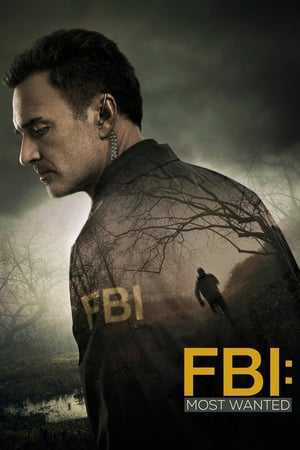 FBI: Most Wanted T 1 C 11 online gratis