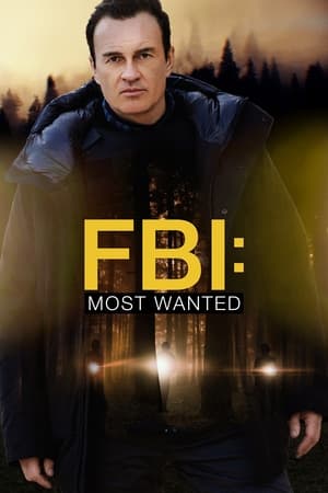 FBI: Most Wanted Temporada 3 online gratis