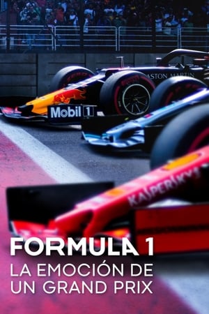 Formula 1: La emoción de un Grand Prix online