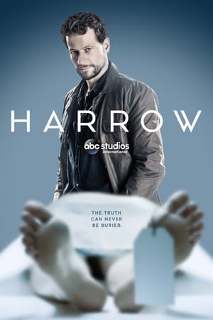 Harrow temporada  1 online