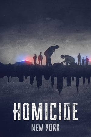 Homicidio T 1 C 2 online gratis