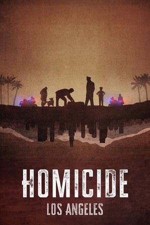 Homicidio T 2 C 4 online gratis