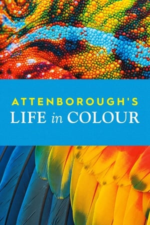 La vida a todo color, con David Attenborough Temporada 1 online gratis