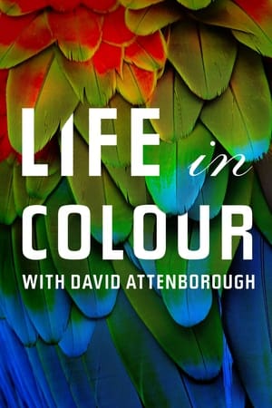 La vida a todo color, con David Attenborough online