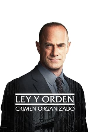 Ley y orden: Crimen organizado temporada  2 online