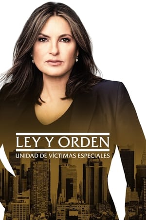 Ley y orden: Unidad de Víctimas Especiales T 23 C 15 online gratis