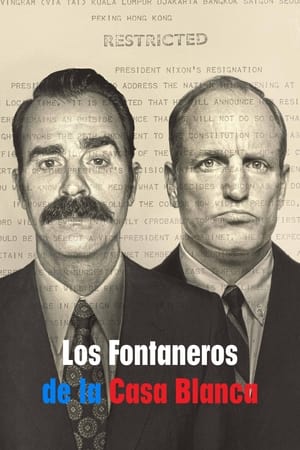 Los fontaneros de la Casa Blanca Temporada 1 online gratis