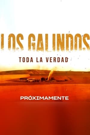 Los Galindos, toda la verdad Temporada 1 online gratis