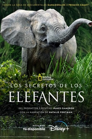 Los secretos de los elefantes T 1 C 2 online gratis