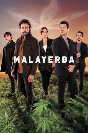 MalaYerba T 1 C 6 online gratis