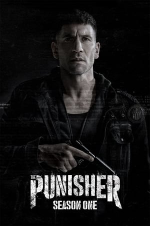 Marvel - The Punisher T 1 C 5 online gratis