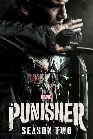 Marvel - The Punisher T 2 C 10 online gratis