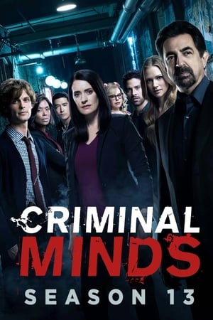 Mentes criminales T 13 C 19 online gratis