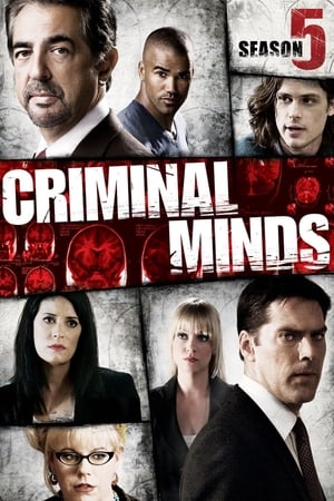 Mentes criminales T 5 C 6 online gratis