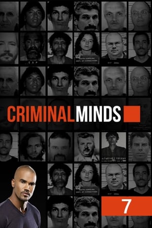 Mentes criminales T 7 C 13 online gratis