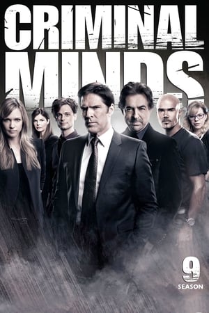 Mentes criminales T 9 C 13 online gratis