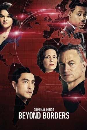 Mentes criminales: Sin fronteras T 1 C 12 online gratis