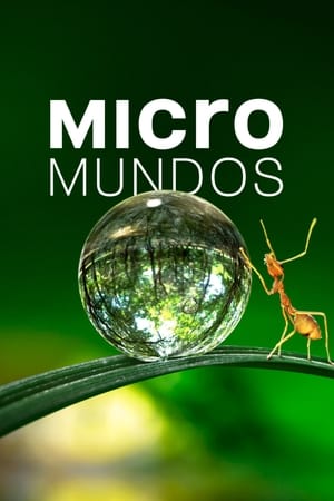 Micromundos Online