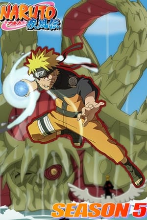 Naruto Shippuden T 5 C 100 online gratis