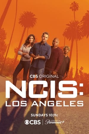 NCIS: Los Ángeles T 14 C 18 online gratis