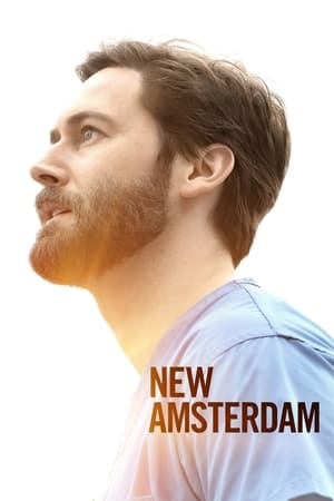 New Amsterdam T 3 C 11 online gratis