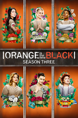 Orange Is the New Black T 3 C 3 online gratis