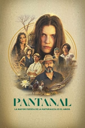 Pantanal Online