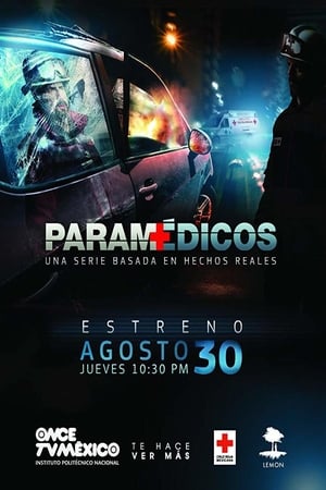 Paramédicos T 1 C 2 online gratis