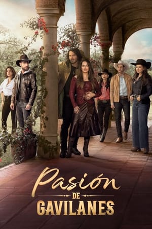 Pasión de gavilanes T 2 C 50 online gratis