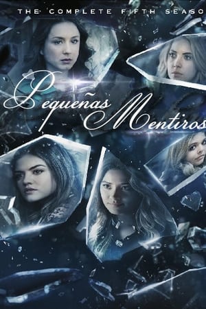 Pequeñas mentirosas T 5 C 2 online gratis