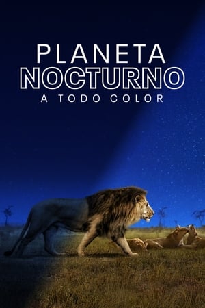 Planeta nocturno: a todo color Temporada 1 online gratis