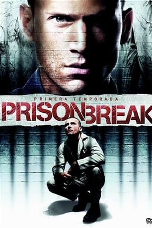 Prison Break T 1 C 14 online gratis