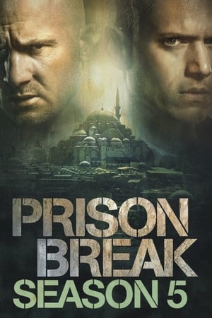 Prison Break T 5 C 8 online gratis