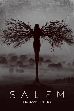 Salem T 3 C 4 online gratis