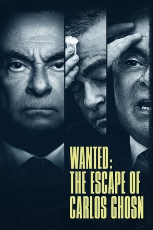 Se busca: Carlos Ghosn Temporada 1 online gratis