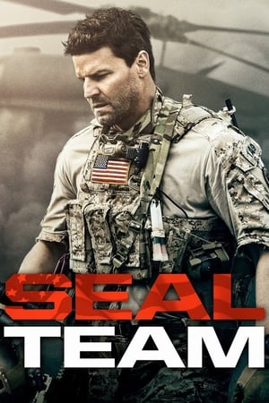 SEAL Team T 1 C 5 online gratis