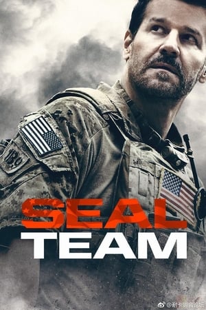 SEAL Team T 2 C 6 online gratis