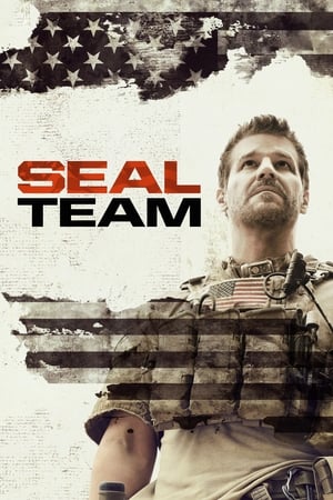 SEAL Team T 3 C 9 online gratis