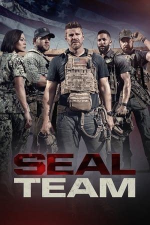 SEAL Team temporada  5 online