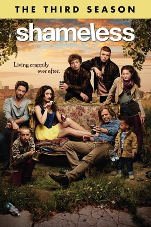 Shameless T 3 C 2 online gratis