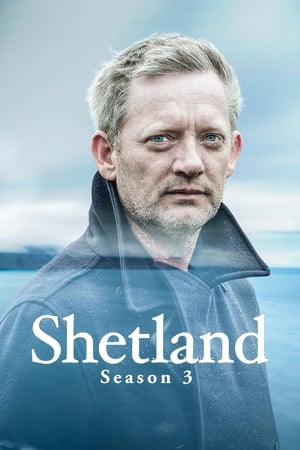 Shetland Temporada 3 online gratis