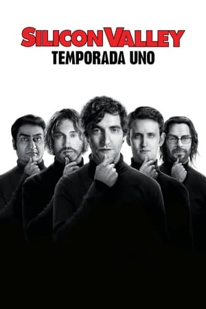 Silicon Valley Temporada 1 online gratis