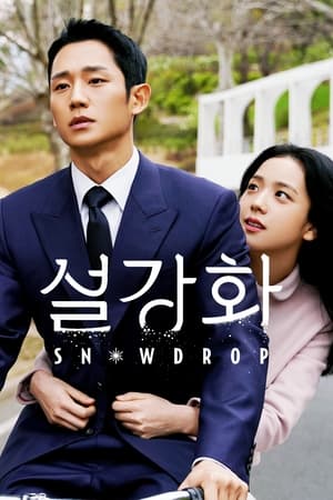 Snowdrop Temporada 1 online gratis