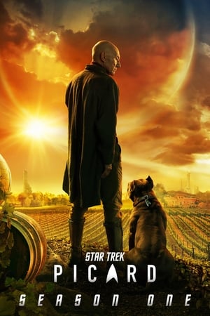 Star Trek: Picard T 1 C 5 online gratis