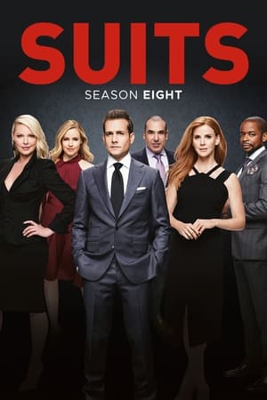 Suits: la clave del éxito T 8 C 4 online gratis